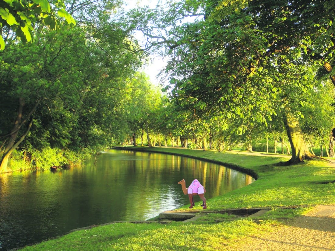 3)Take a stroll around Christchurch Meadows