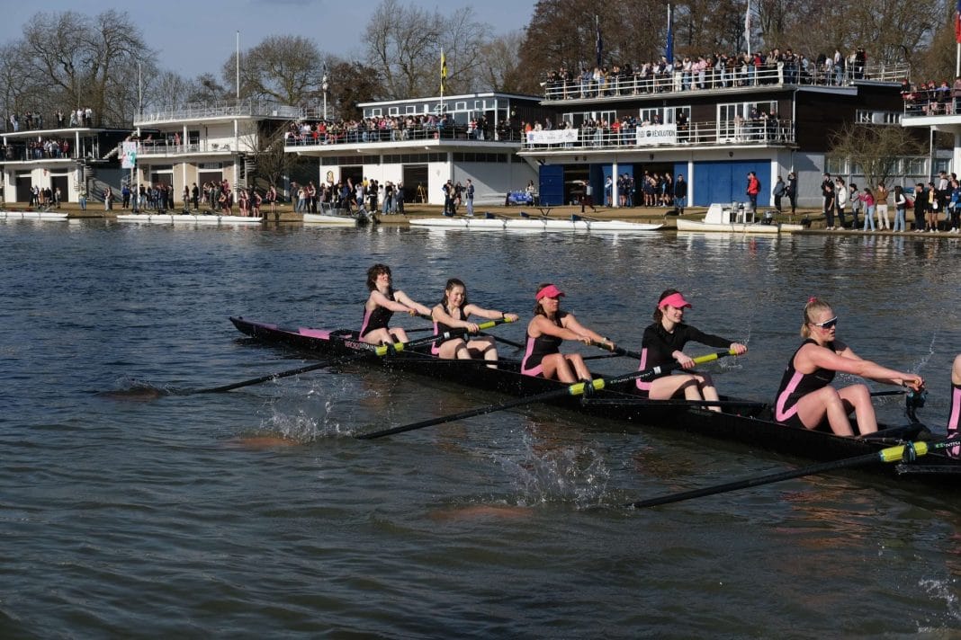 rowers at torpids